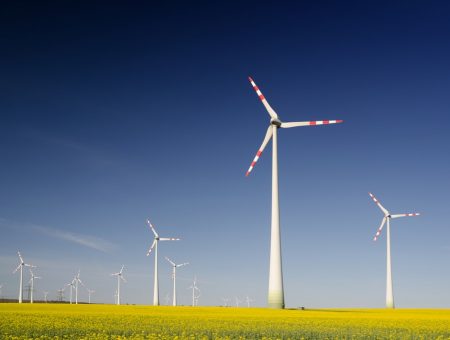 Sostenibilidad: habilitando la tecnología