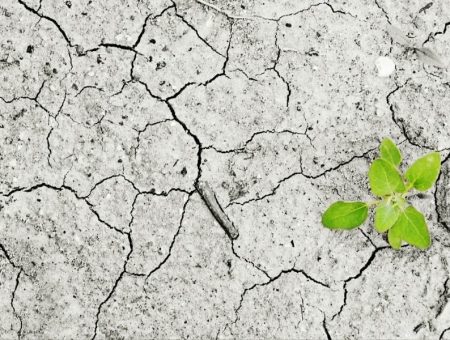 Ley de Cambio Climático:  Implicaciones para el sector privado