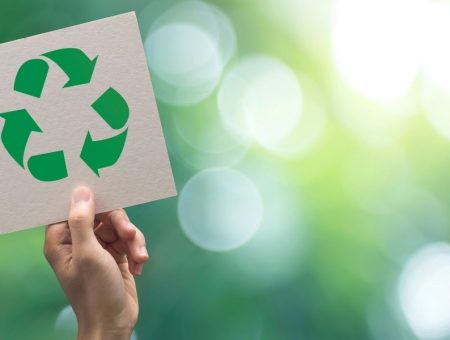 Plan de Acción para la Economía Circular en un contexto histórico